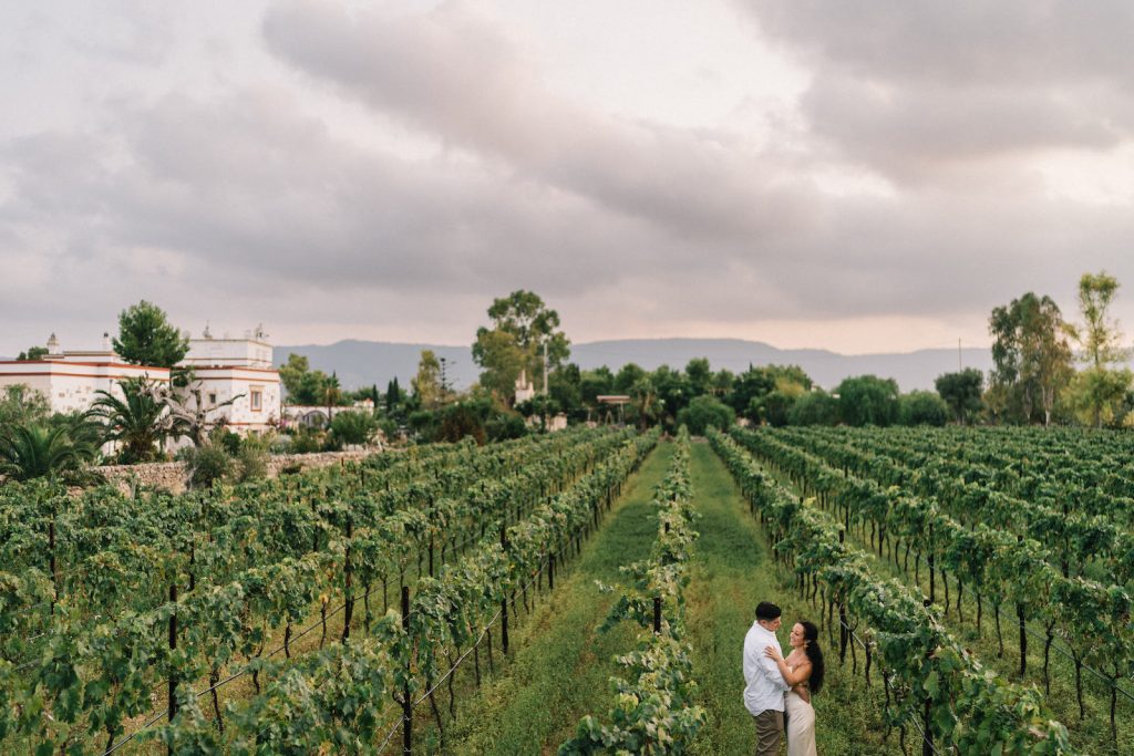 Masseria Montenapoleone Matteo Lomonte