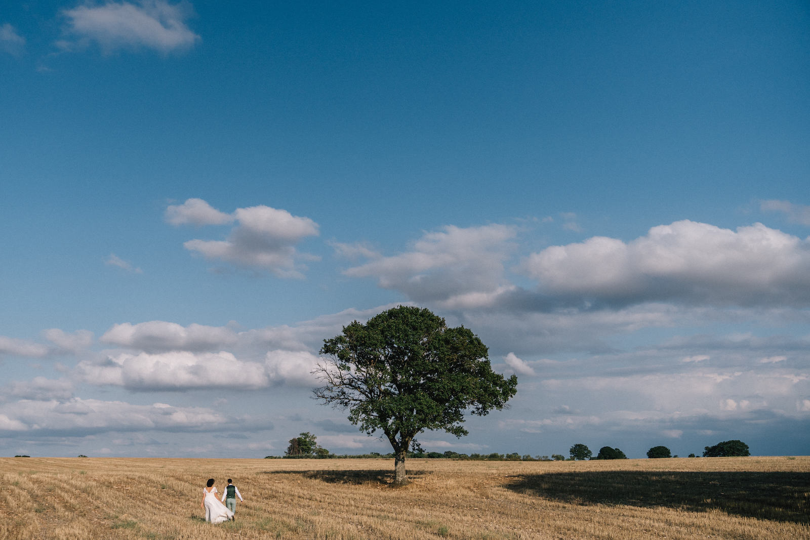Wedding Planner - sky - landscape