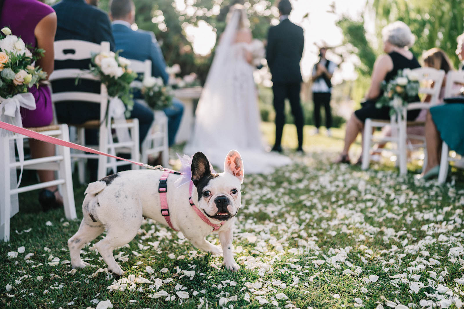 Masseria Almadava Wedding - Matteo Lomonte wedding photographer