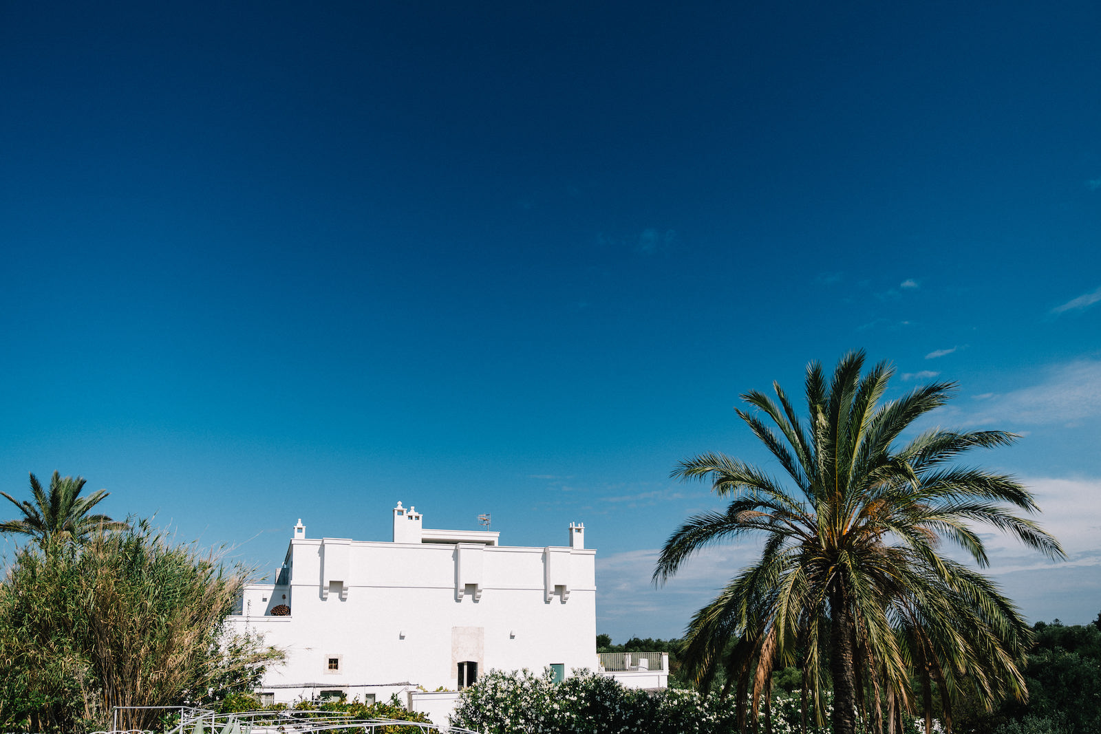 Gay wedding photographer in Puglia - Matteo Lomonte 45